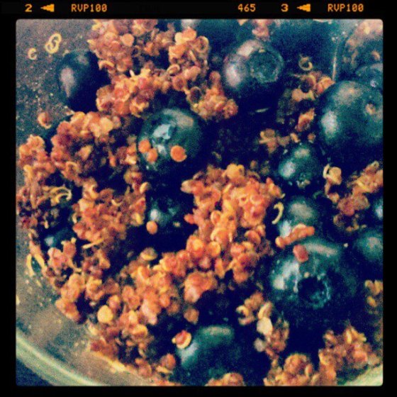 Vegan Blueberry Quinoa Bowl